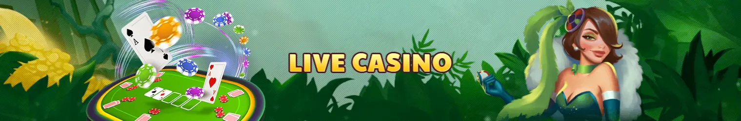 8k8 Live Casino