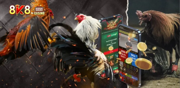 Introducing live cockfighting at the SV388 lobby
